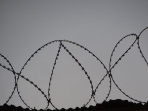 barbed-wire-black-and-white-black-and-white-690800